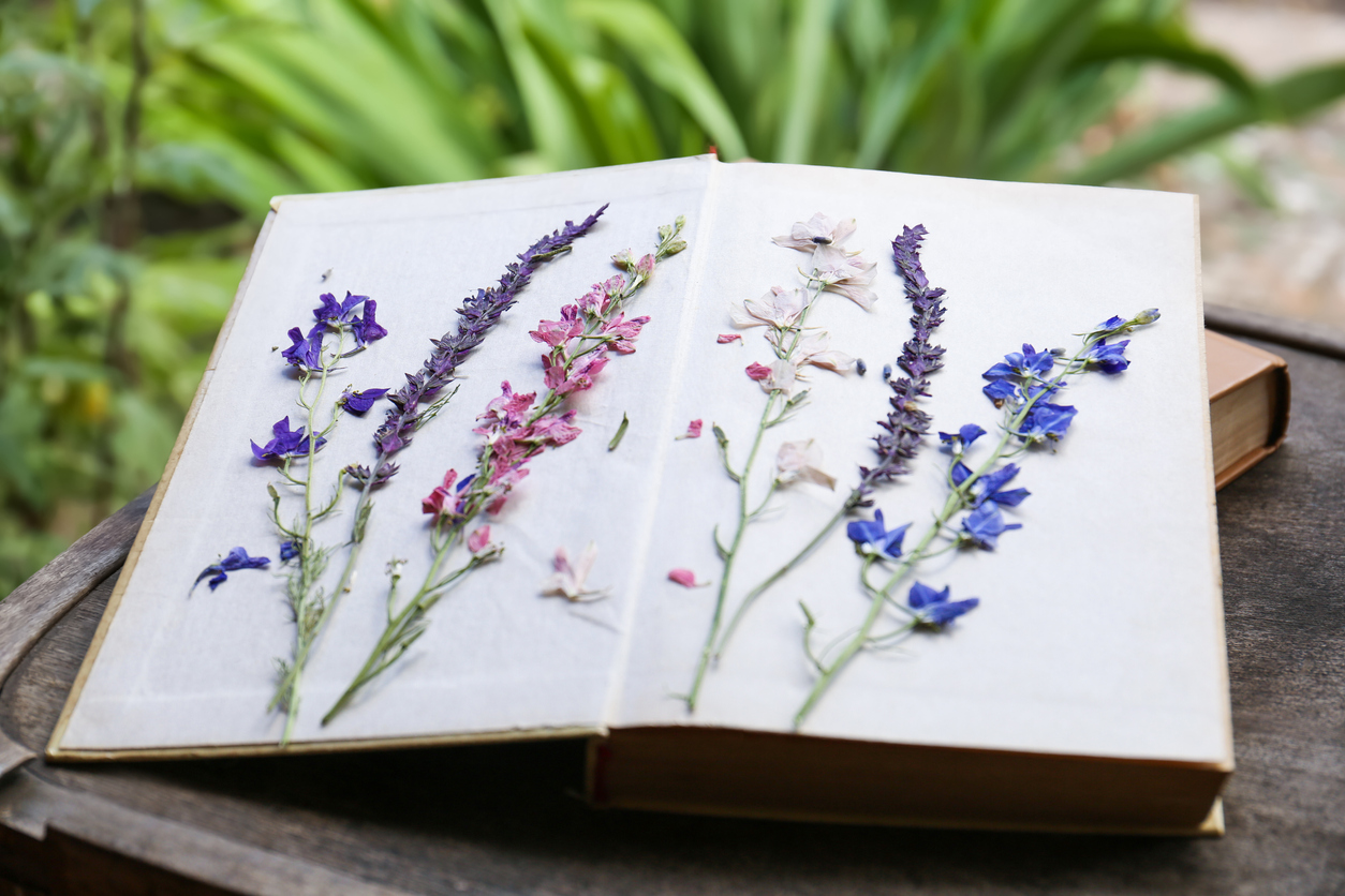 flower pressing